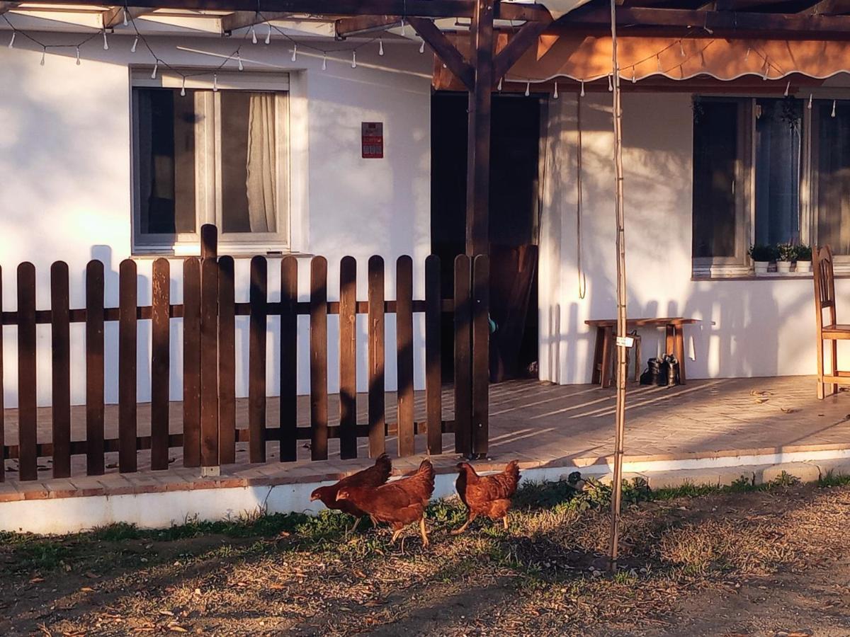Casa De Campo Los Manueles Ideal Perros Pet Friendly Gojar Eksteriør billede